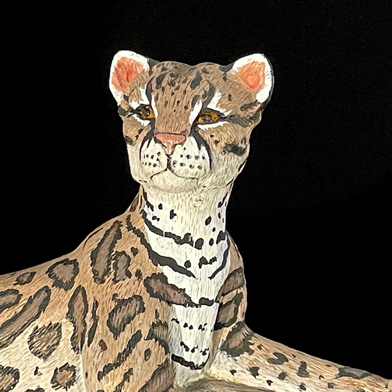 Ocelot