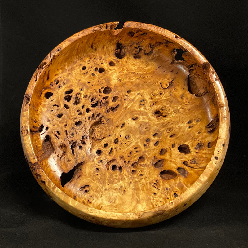 Cottonwood Burl Raised Bowl